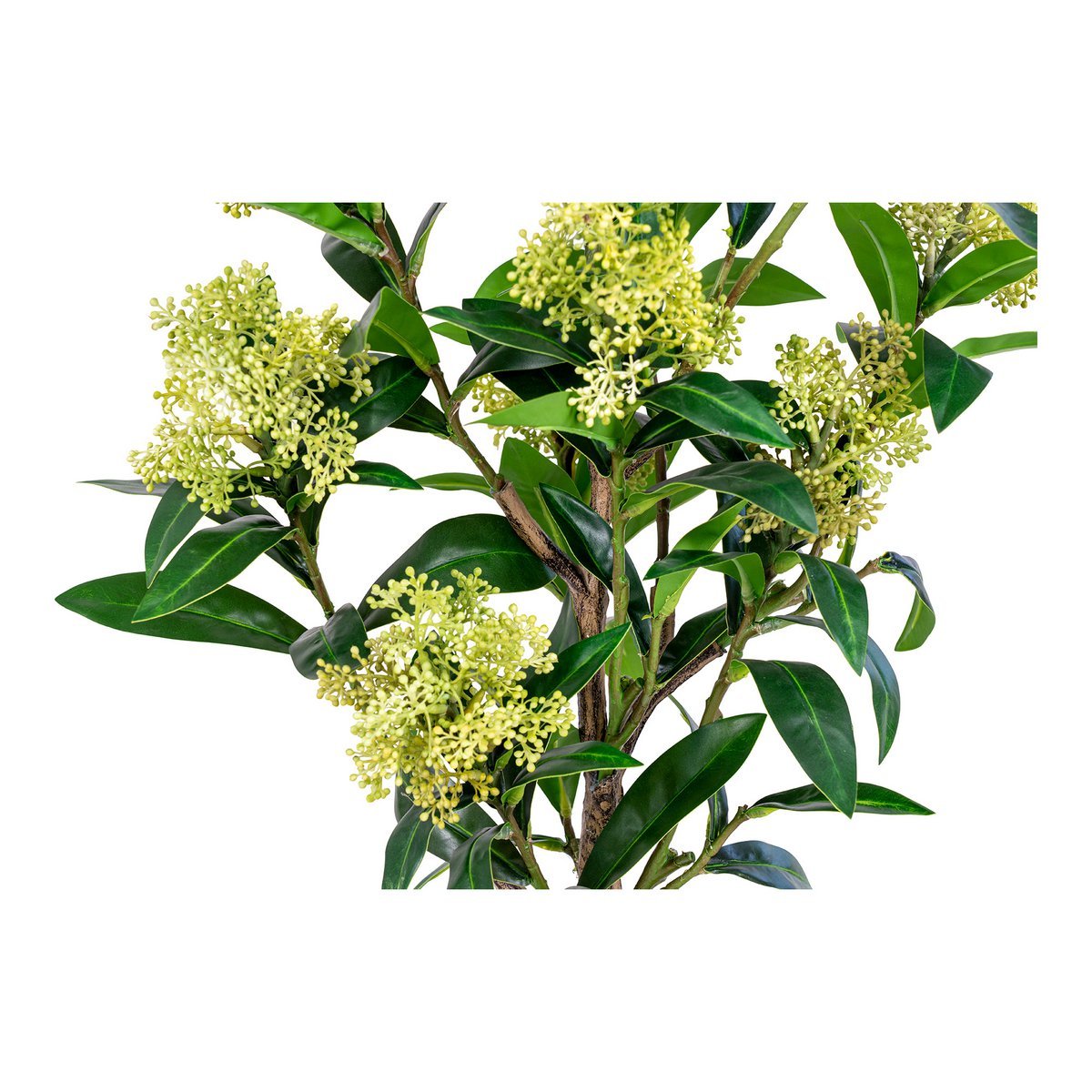 House Nordic ApS - Skimmia Boom - Groen - Deco Delights Kunstboom